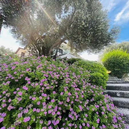 Apartment Mesmerizing Flat With Shared Pool In Cesme *